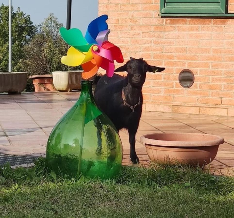 Ferienwohnung Relax In Collina A Due Passi Dal Mare Torriana Exterior foto